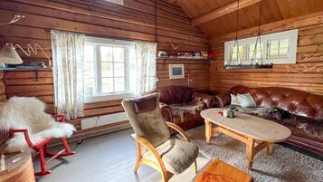 تلفزيون ذكي، مدفأة