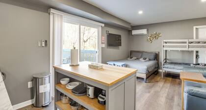 Near Hospitals + Metro Access: Studio in Cheverly