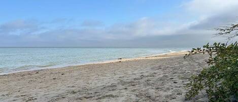 صيد الأسماك