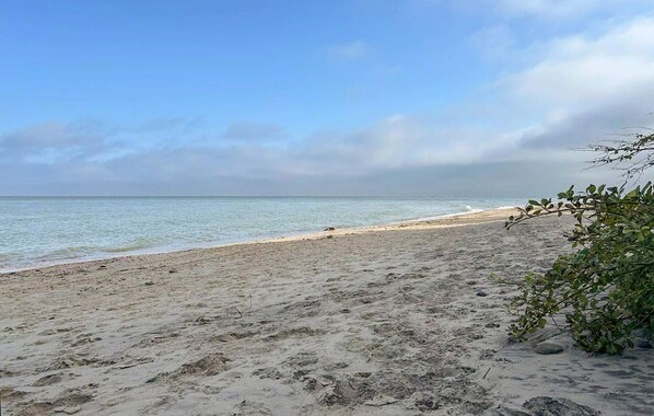 صي�د الأسماك