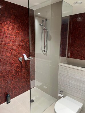 Séchoir à cheveux, serviettes fournies, savon, papier de toilette