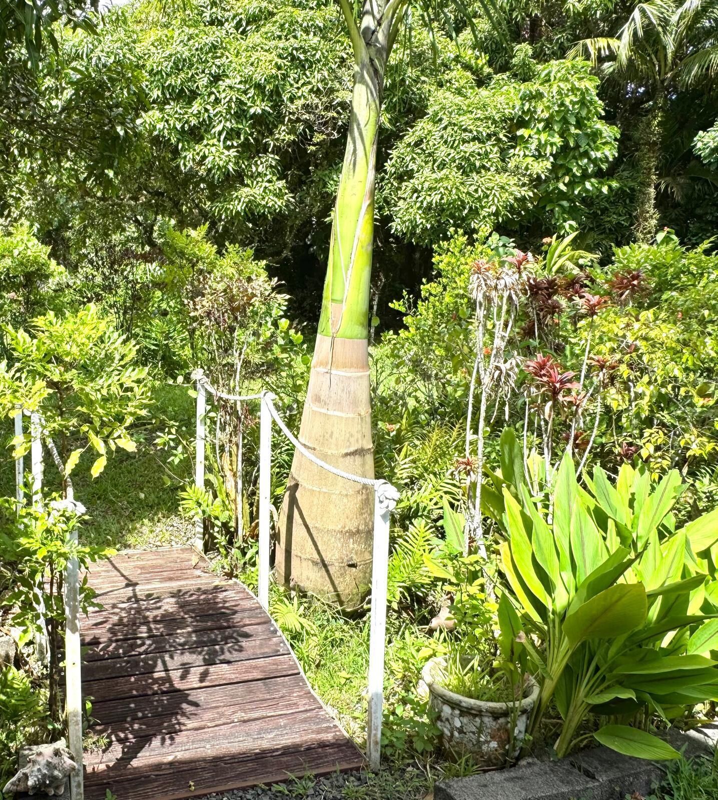 Jardines del alojamiento