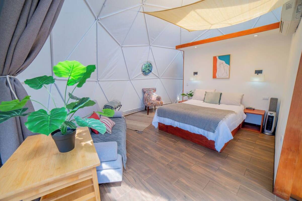 A modern bedroom with a geometric ceiling, a bed, a chair, a small table, and a potted plant.