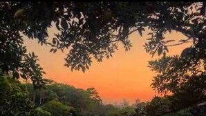 A pathway leading through a park with trees and a sunset in the background. - 83 OSHR (Bondi Junction)