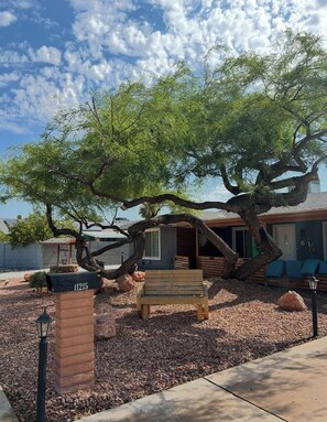 A house with a large tree, a mailbox, and a bench.