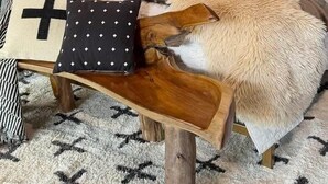2 室のベッドルーム、WiFi、ベッドシーツ