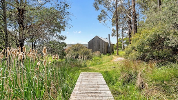 A wooden pathway leading to a rustic wooden building surrounded by tall grasses and trees. - Hamlet Downs Country Accom (Fentonbury)