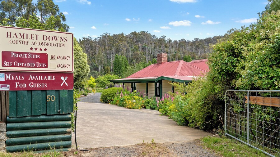 ハムレット ダウンズ カントリー アコム