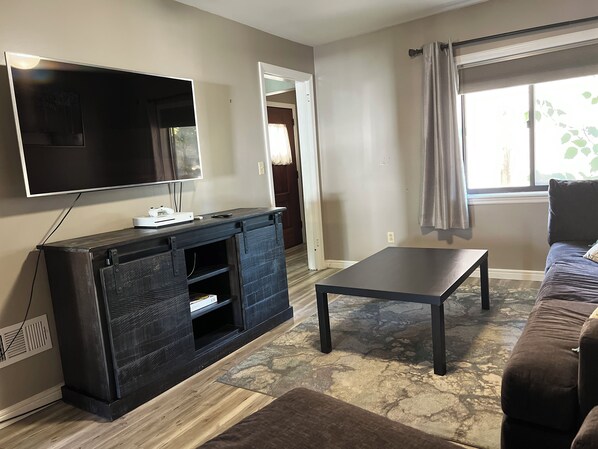 TV - Cozy 1-bedroom apartment in charming Pittsburgh (Pittsburgh)