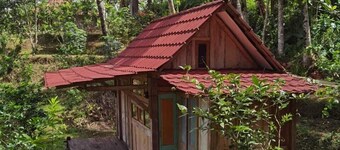 Homestay Ijen Lemonhouse