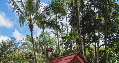 Homestay Ijen Lemonhouse