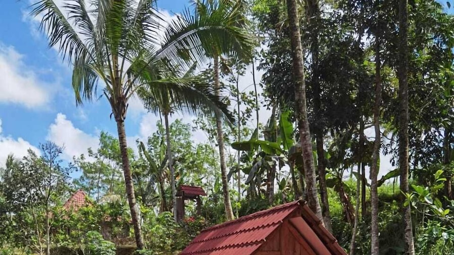 Homestay Ijen Lemonhouse