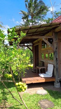 Habitación doble, balcón, vistas al parque | Escritorio. Homestay Ijen Lemonhouse