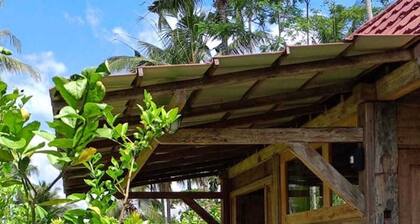 Homestay Ijen Lemonhouse