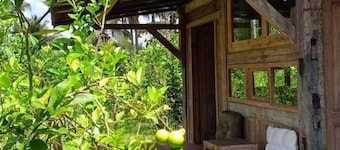 Homestay Ijen Lemonhouse