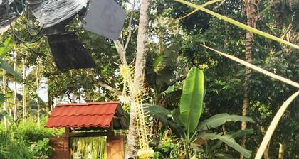 Homestay Ijen Lemonhouse