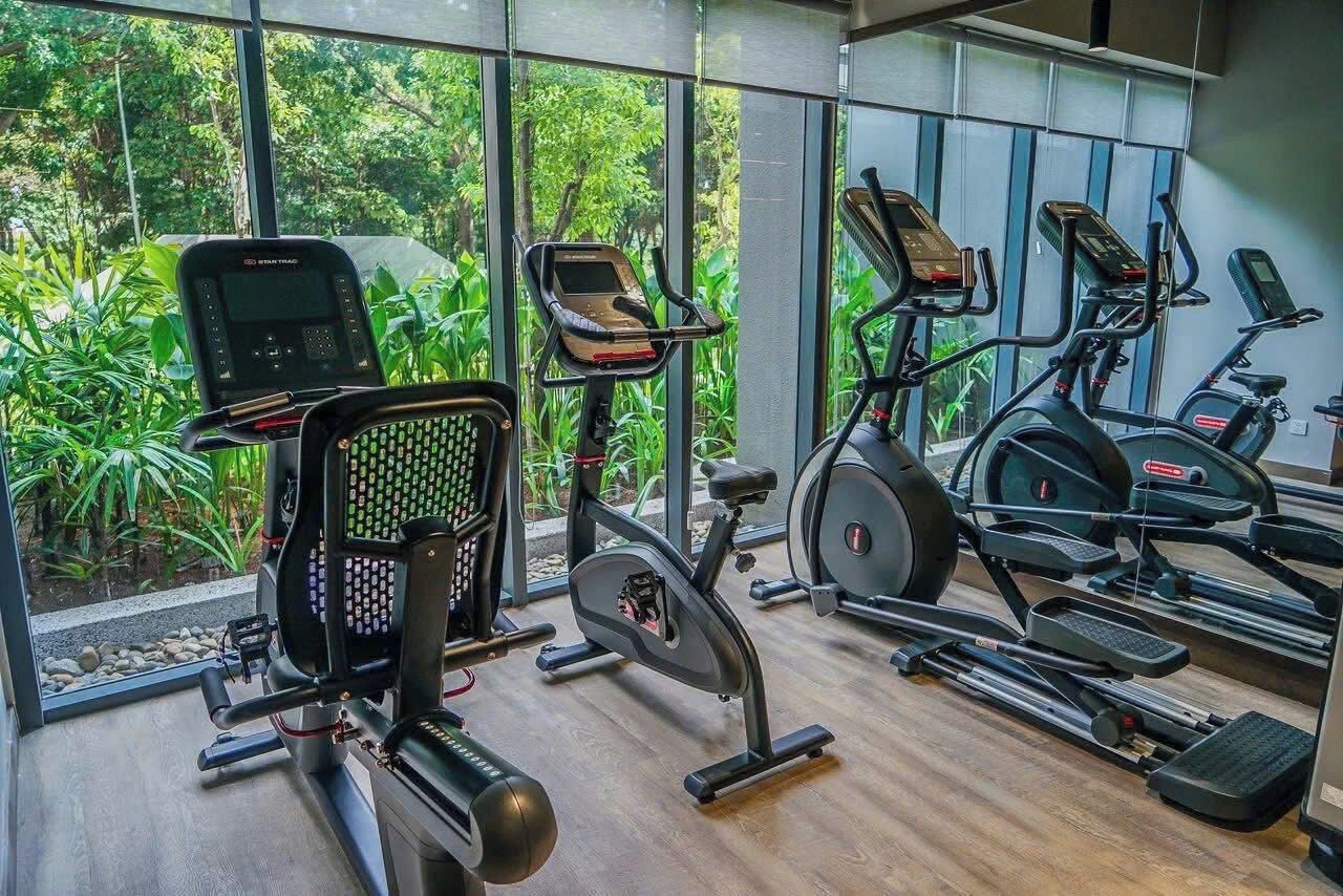 A gym with various exercise equipment, including treadmills and stationary bikes, with large windows offering a view of greenery outside.