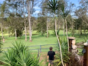 Property grounds - Tranquility Ranch by Tiny Away (Cedar Creek)