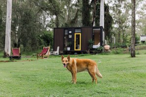 Property grounds - Tranquility Ranch by Tiny Away (Cedar Creek)