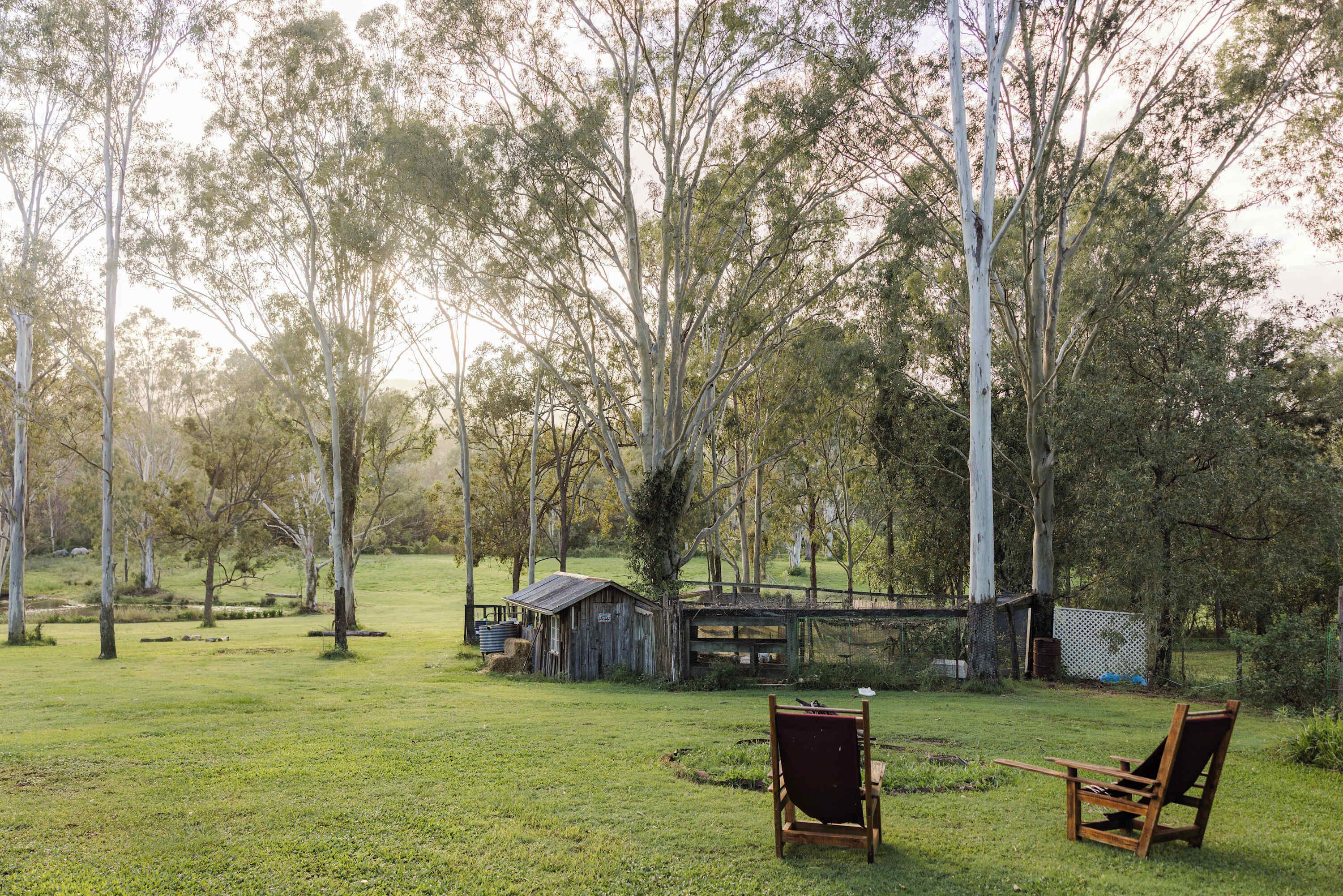 A grassy outdoor area with two wooden chairs, a small wooden structure, and tall trees.
