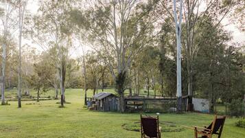 A grassy outdoor area with two wooden chairs, a small wooden structure, and tall trees.