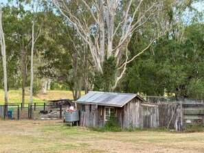 Property grounds - Tranquility Ranch by Tiny Away (Cedar Creek)