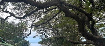Hale Naalehu Bed & Breakfast