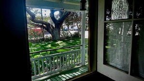 A porch with a white railing, a large tree, and a stained glass window. - Hale Naalehu LLC Bed & Breakfast (Naalehu)