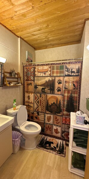 Hair dryer, towels, soap, toilet paper