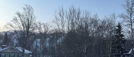 A residential area with a house, snow-covered landscape, and leafless trees.