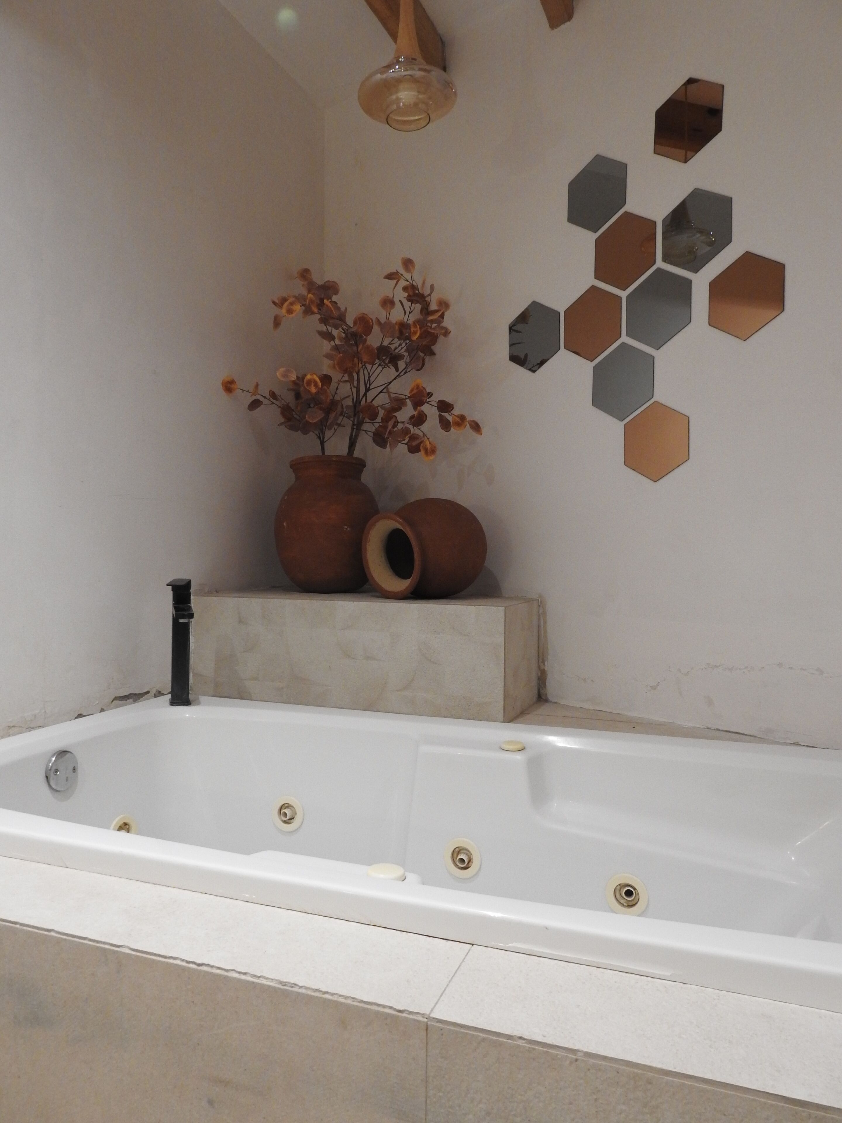 Shower, jetted bath, soap, toilet paper