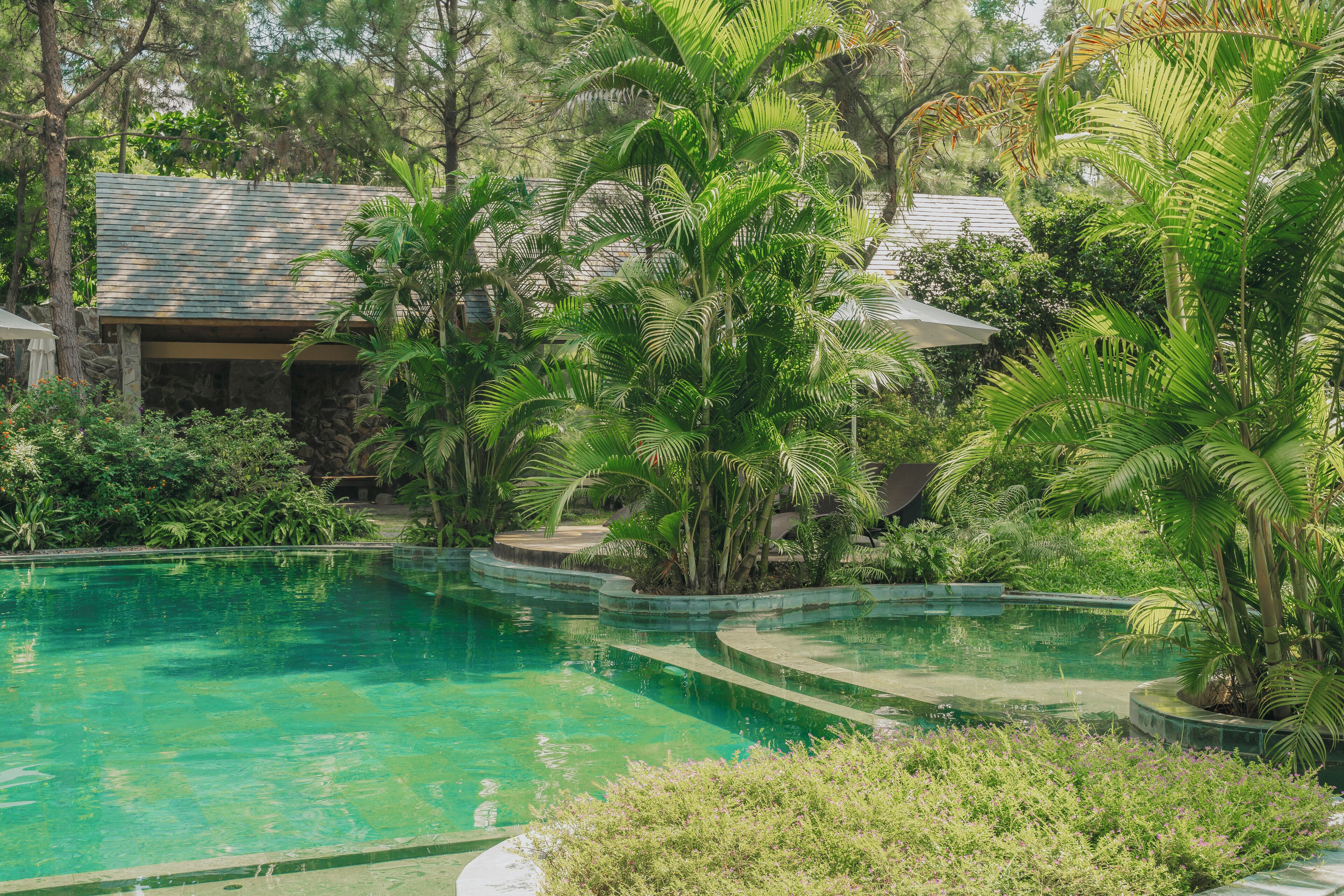 Indoor pool, outdoor pool, open 8:00 AM to 8:00 PM, pool umbrellas