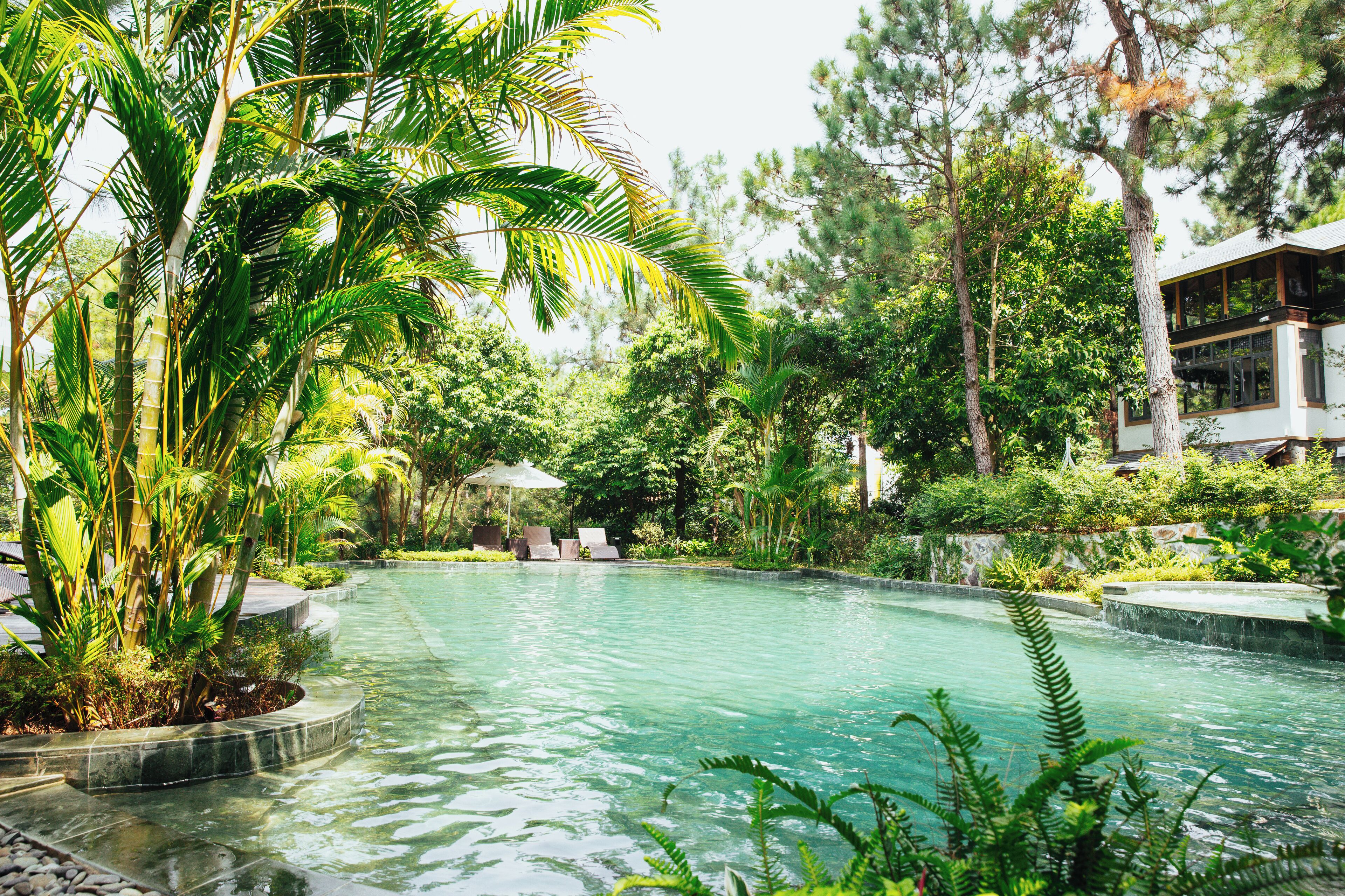 Hồ bơi trong nhà, hồ bơi ngoài trời, dù/ô trên bãi biển/hồ bơi 