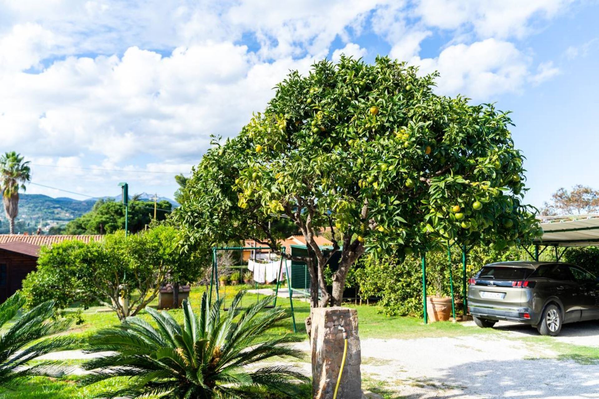 Áreas de la propiedad