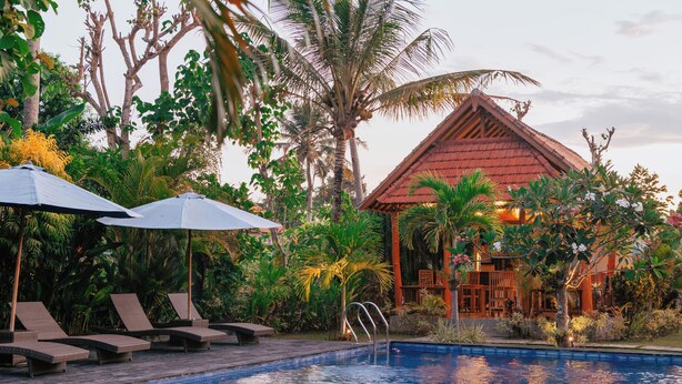 Un área de piscina con sillones de descanso y sombrillas, rodeada de follaje tropical y un edificio de madera.