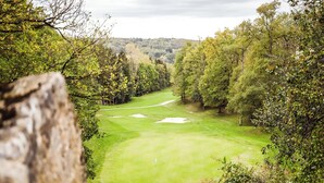 A golf course with a flagstick, surrounded by trees and hills in the background. - Beautiful apartment overlooking the golf course (Barvaux)