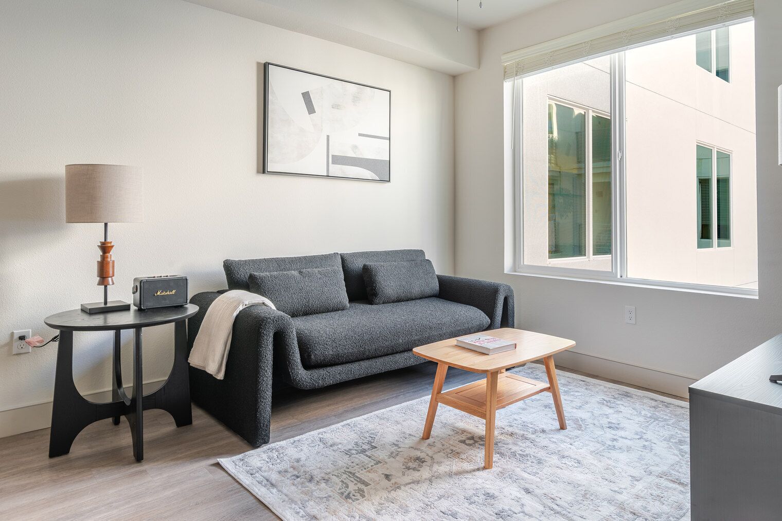 テレビ、ステレオ