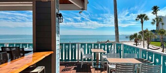 3 Lux Units w/ Captivating Views | Minutes from Downtown St. Petersburg