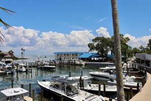 Marina - A Slice of Paradise | Relax, Play, & Indulge in Unique St Pete Experience! (St. Petersburg)