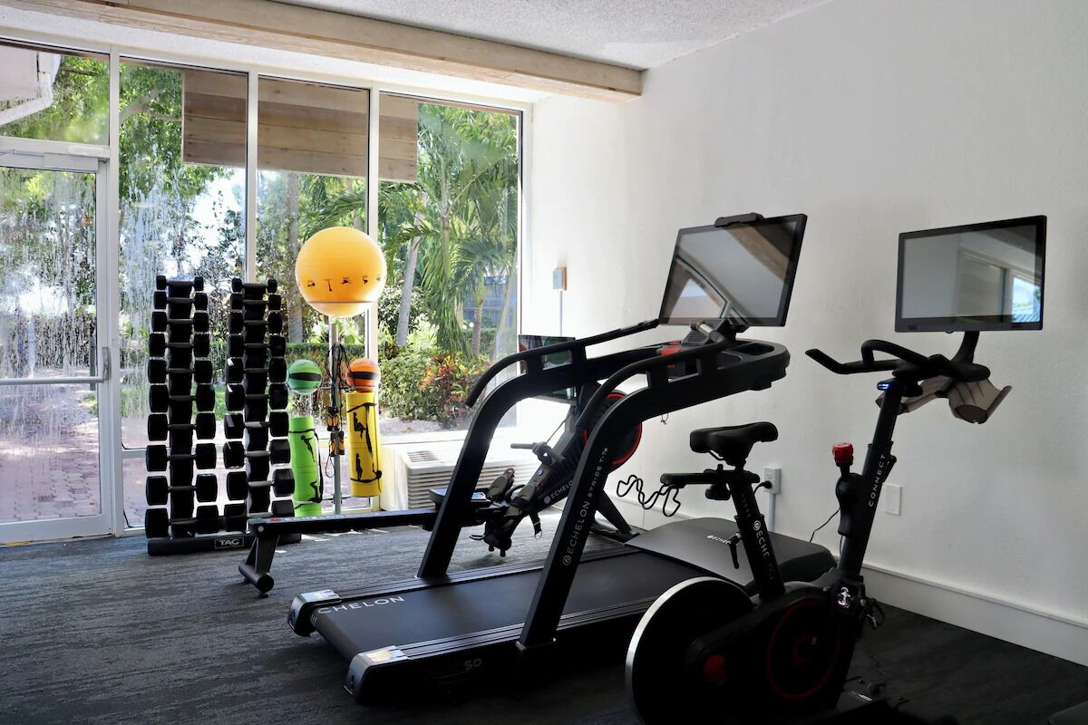 Keep your routine with treadmills, weights, and natural light.