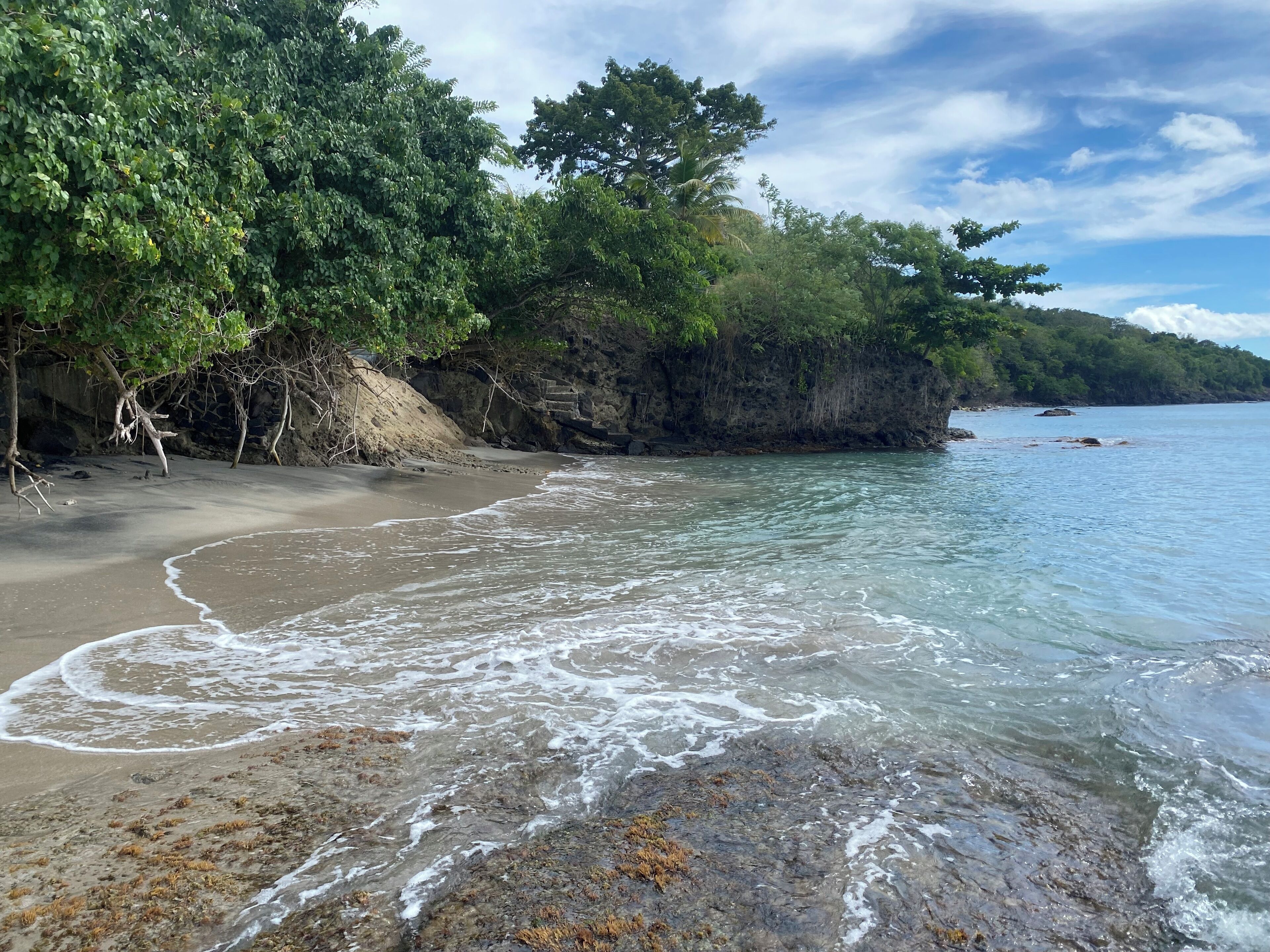 A beach with clear water, sandy shore, and dense greenery.
