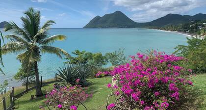WATERFRONT APARTMENT FACING THE DIAMOND