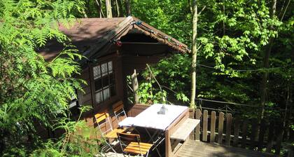 Wohnung in Dresden-Freital