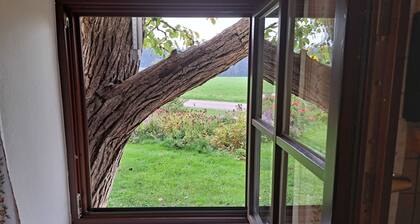 Stunning private villa for 6 guests with panoramic view