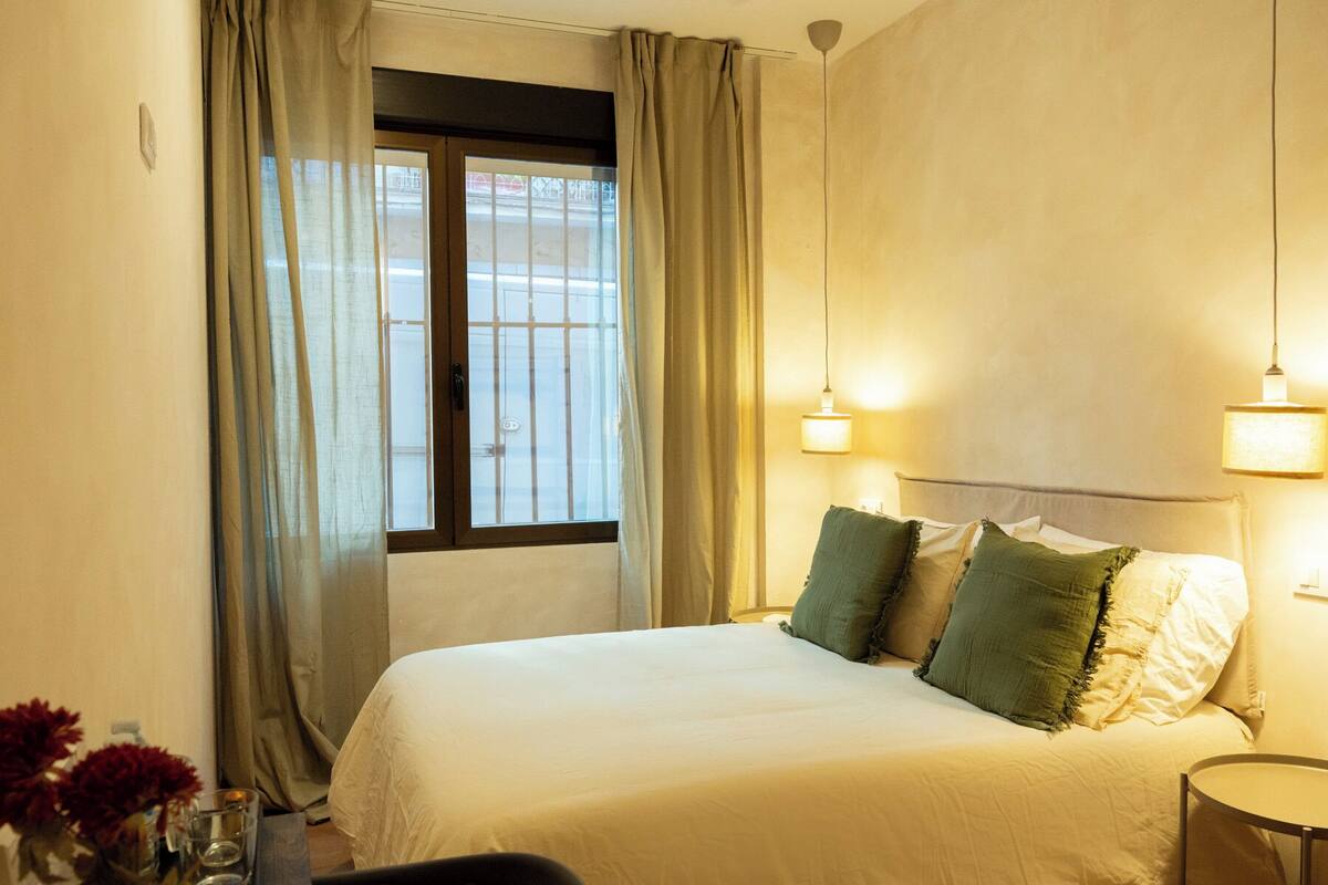 Classic Süit (Habitacion con vista hacia la calle) | Ücretsiz kablosuz İnternet 