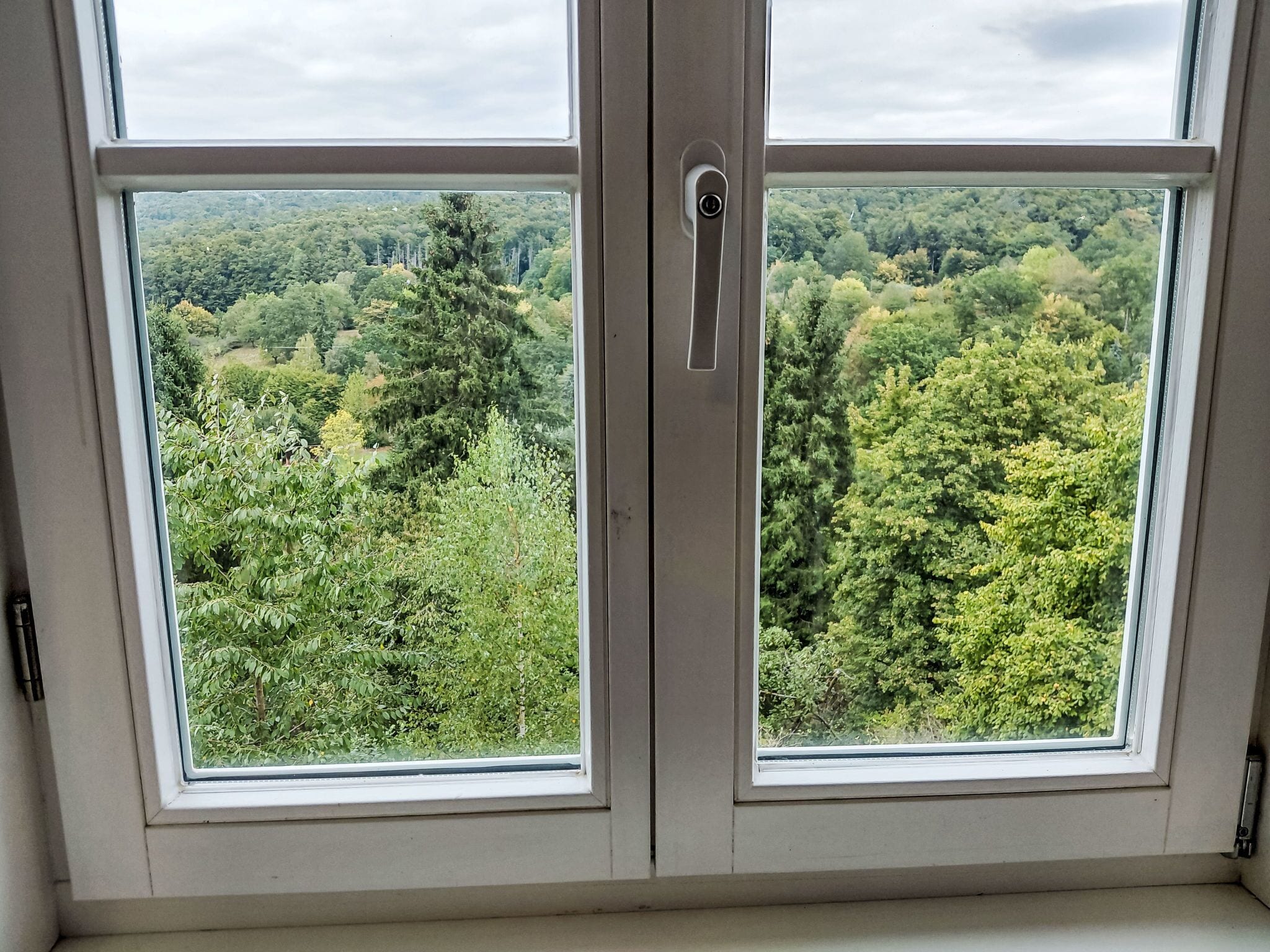 A window with a view of a forested landscape.