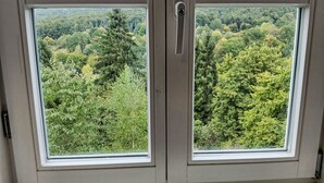 Una ventana con vista a un paisaje boscoso.