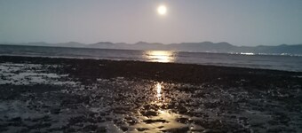 Romantic retreat 3 min to beach in idyllic valley surrounded by native birdlife