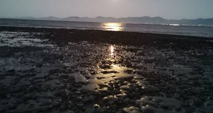 Romantic retreat 3 min to beach in idyllic valley surrounded by native birdlife