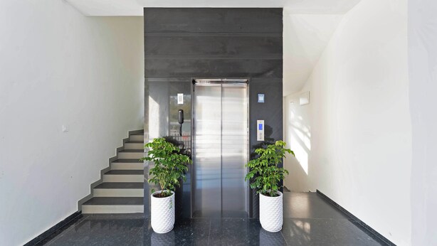 A modern elevator with a glass door, flanked by two potted plants on a polished floor, leading to a staircase. - Treebo Global Orchid (Mysore)